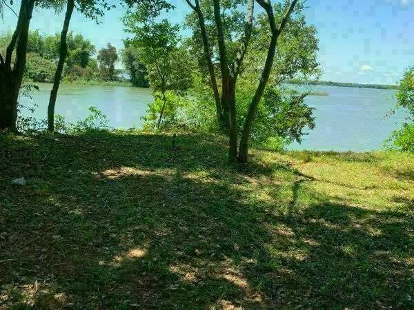 Three Plots for Sale in Coratei, Ayolas