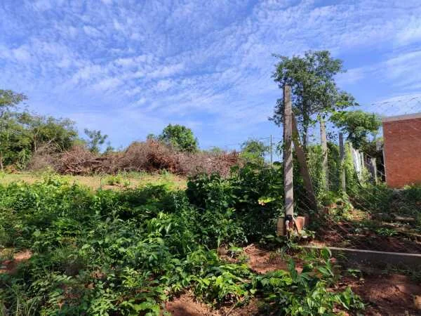 Tres terrenos en venta en Luque, Monte Alto Tarumandy