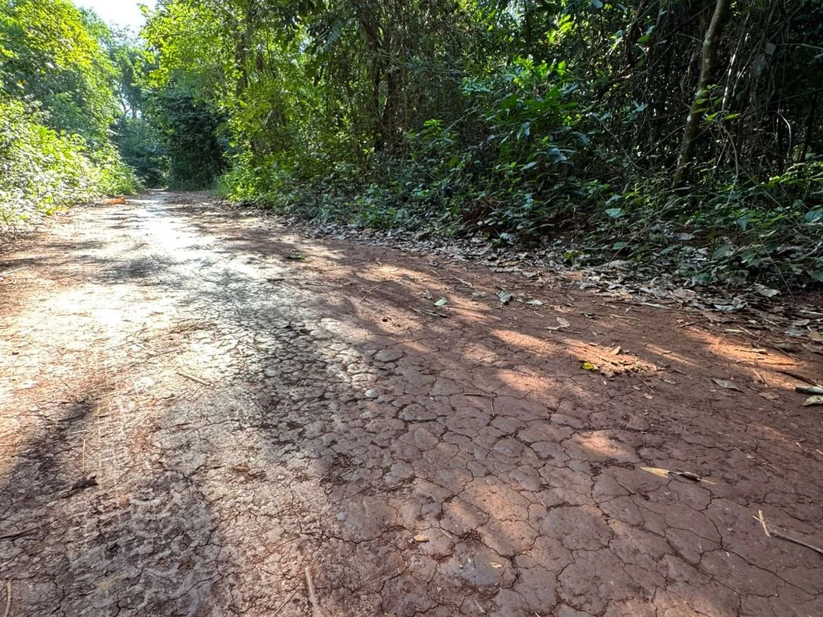 Three lots for sale (together or individually), Km 22, Minga Guazú
