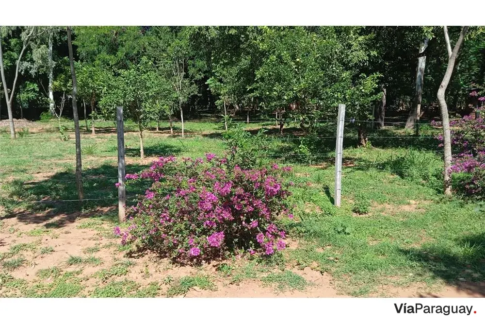 Three adjoining lots for sale in Atyrá, Cordillera