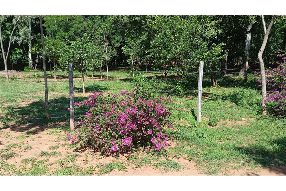 Three adjoining lots for sale in Atyrá, Cordillera