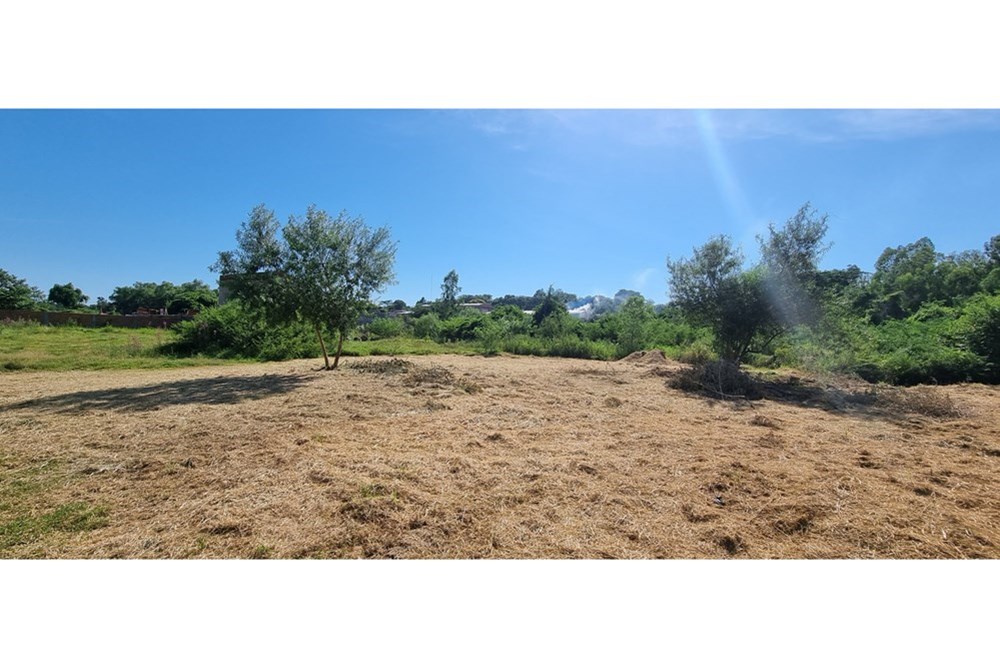 Tres terrenos juntos en venta en Remanso, Mariano Roque Alonso