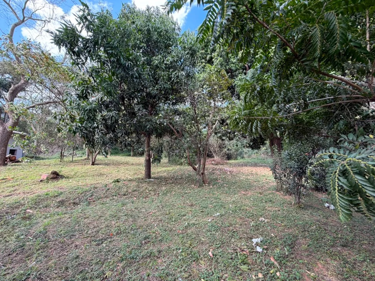 1,614 m² Plot in Chaco-I Neighborhood, Ypané
