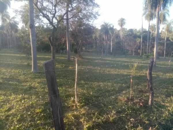 Terreno à Venda em Altos, Cordillera