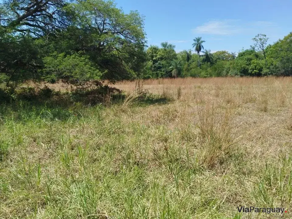 11 lotes de 360 m² cada uno en venta en Cerro Guy, Ypacaraí