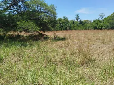 11 lotes de 360 m² cada uno en venta en Cerro Guy, Ypacaraí
