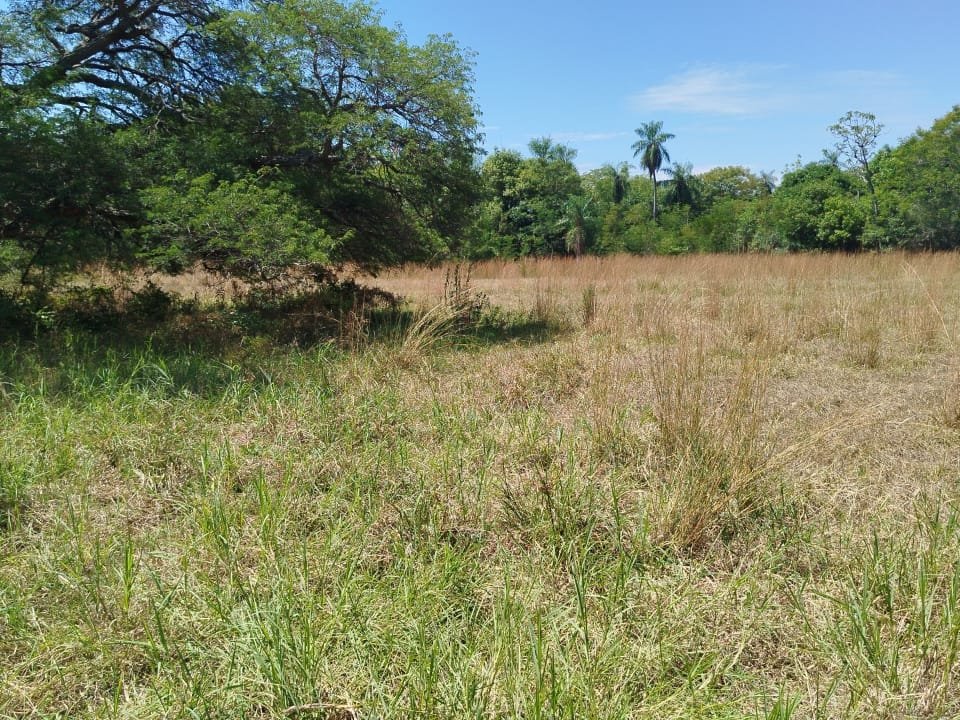 11 lotes de 360 m² cada uno en venta en Cerro Guy, Ypacaraí