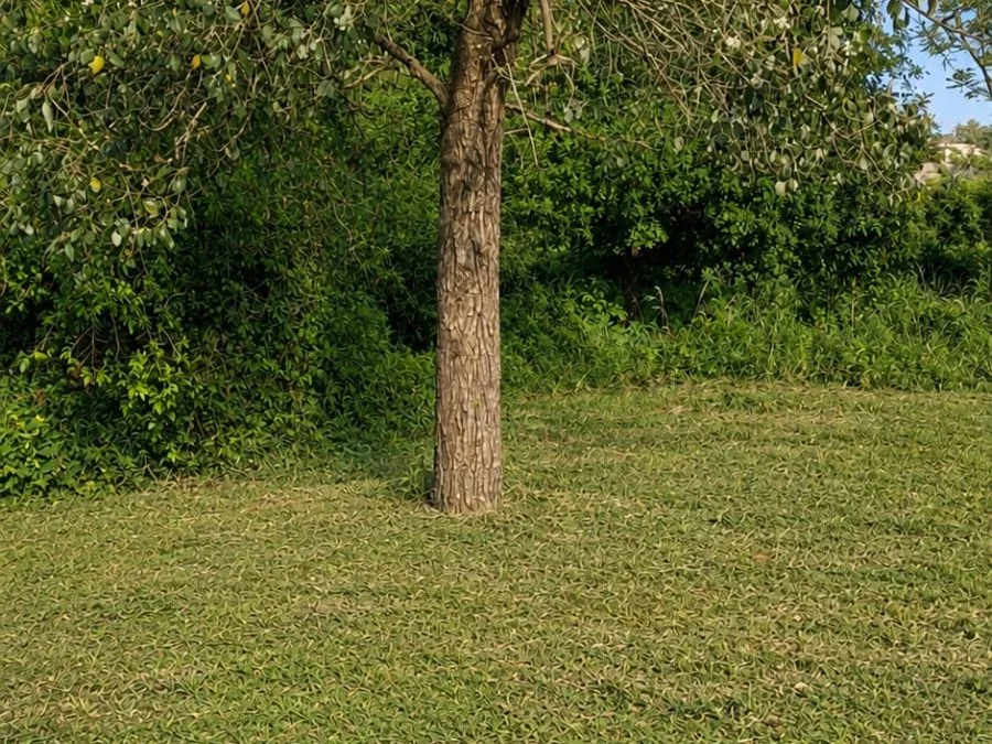 Terreno de 1.260 m² en Barrio Obrero, Bella Vista Norte