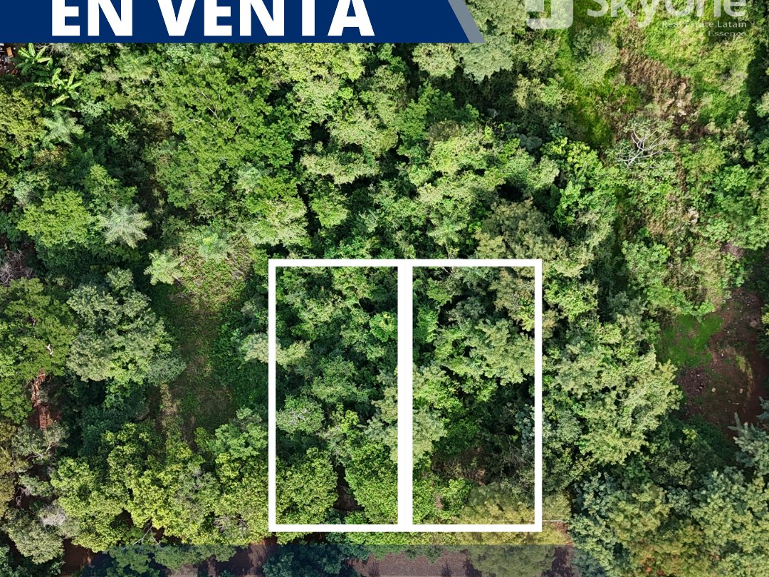 360 m² Plot in San Nicolás Neighborhood, San Juan del Paraná