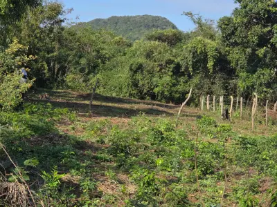 Terreno de 360 m² en Barrio San Pablo, Caacupé