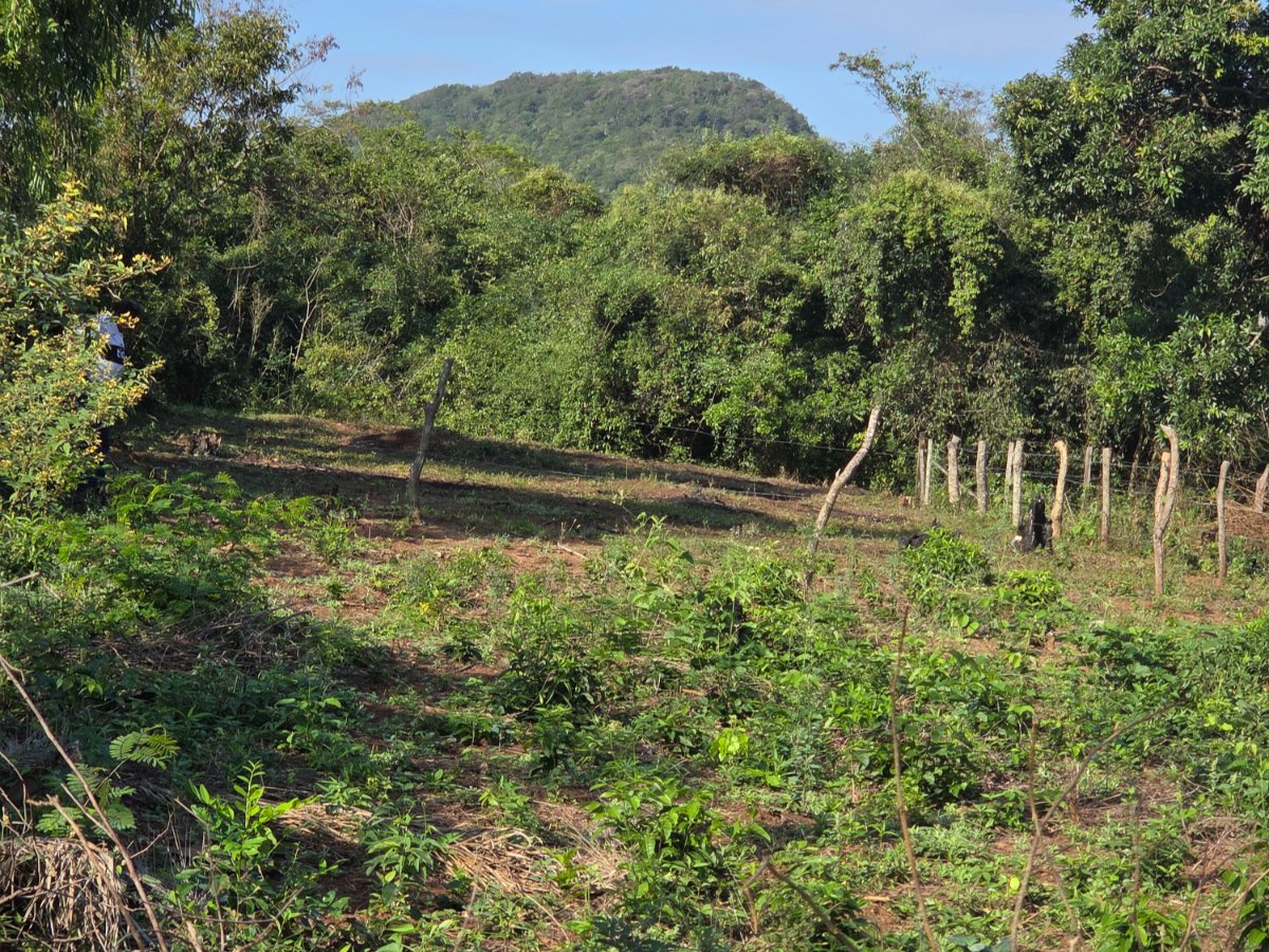 360 m² Lot in San Pablo Neighborhood, Caacupé