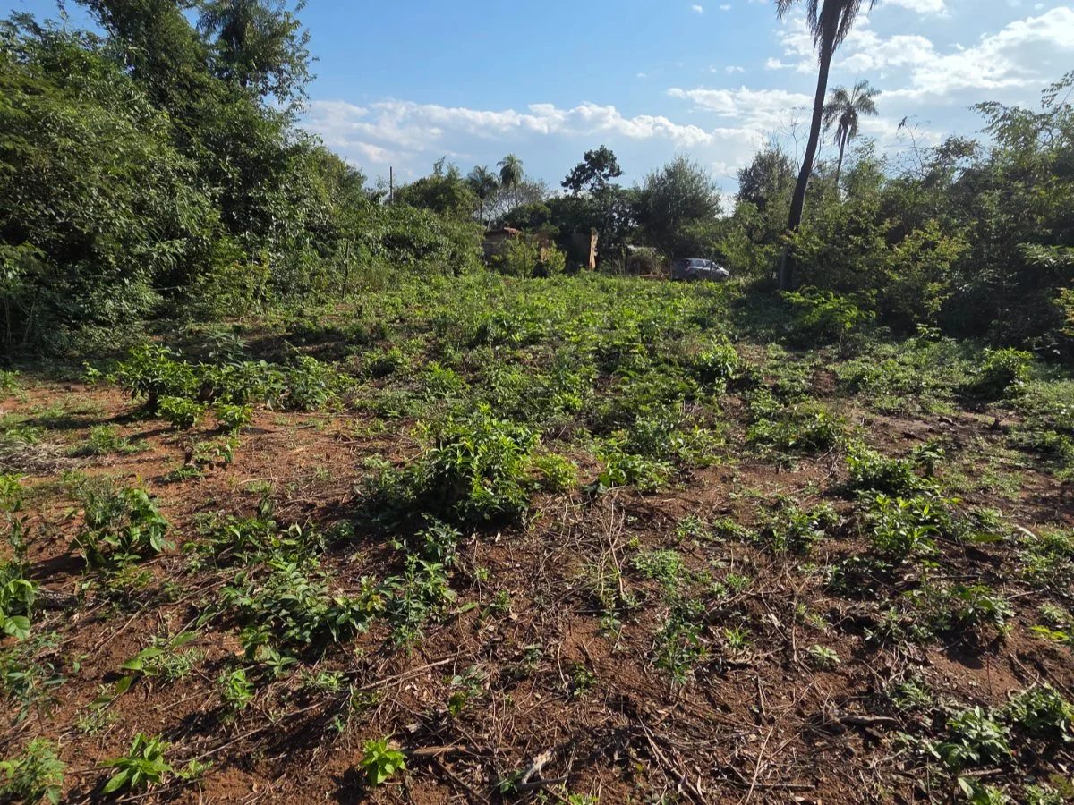 Lote de 360 m² (12x30 m) no Bairro San Pablo, Caacupé