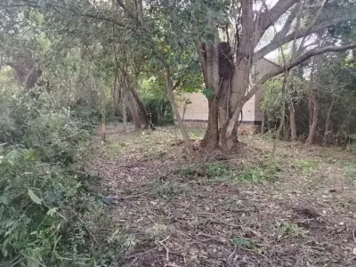455 m² lot in Barrio Santo Domingo, San Bernardino