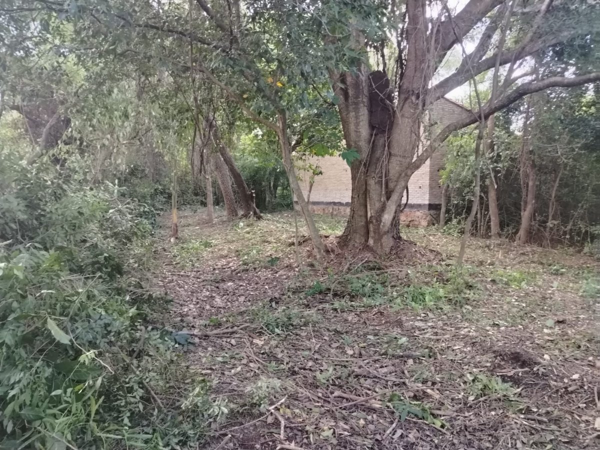 455 m² lot in Barrio Santo Domingo, San Bernardino