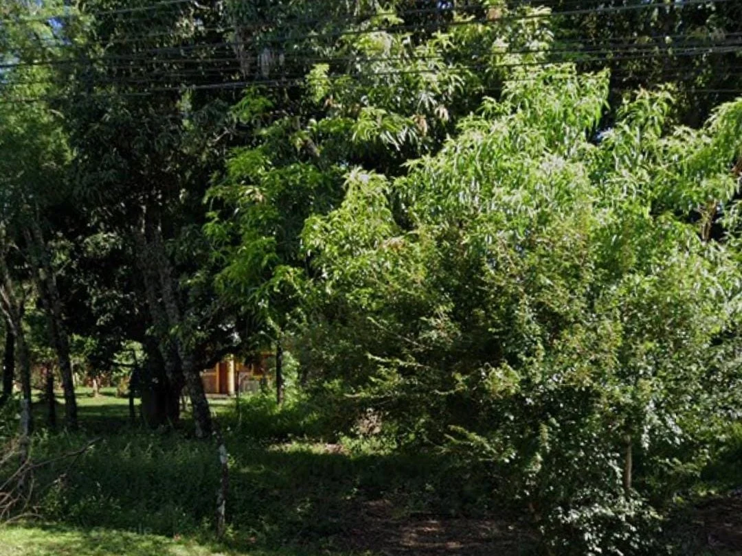 2,885 m² Plot of Land in San Juan del Paraná