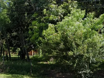 2,885 m² Plot of Land in San Juan del Paraná