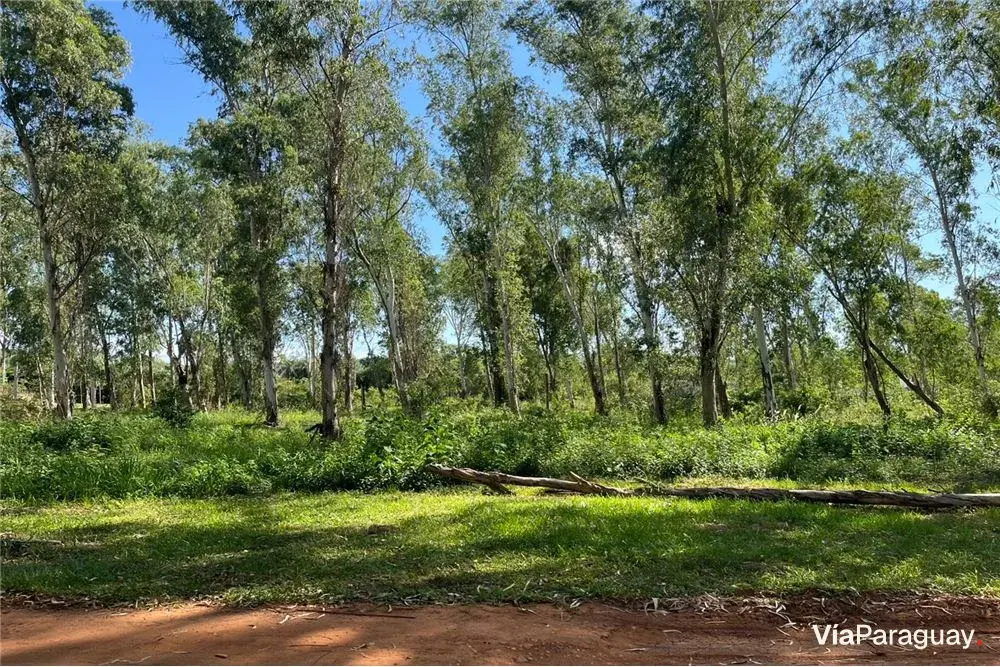 Land for sale in Parque Residencial Florentina, San Bernardino