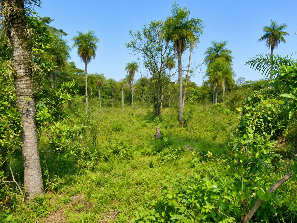 Vendo Terreno en Valle Pucú, Areguá, Ideal para tu Proyecto