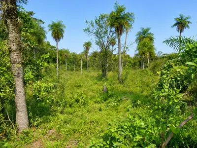 Vendo Terreno en Valle Pucú, Areguá, Ideal para tu Proyecto