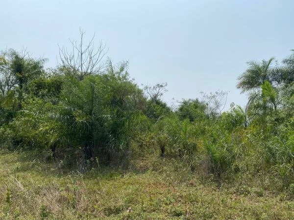 Venta de 3 terrenos juntos en Atyrá, Cordillera