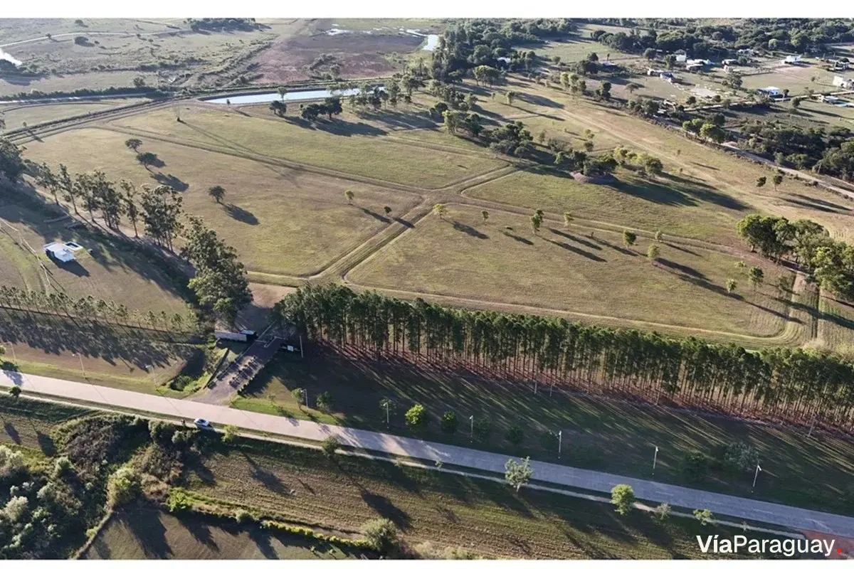Venta de 5 lotes en Los Pinos, Colonia Benítez