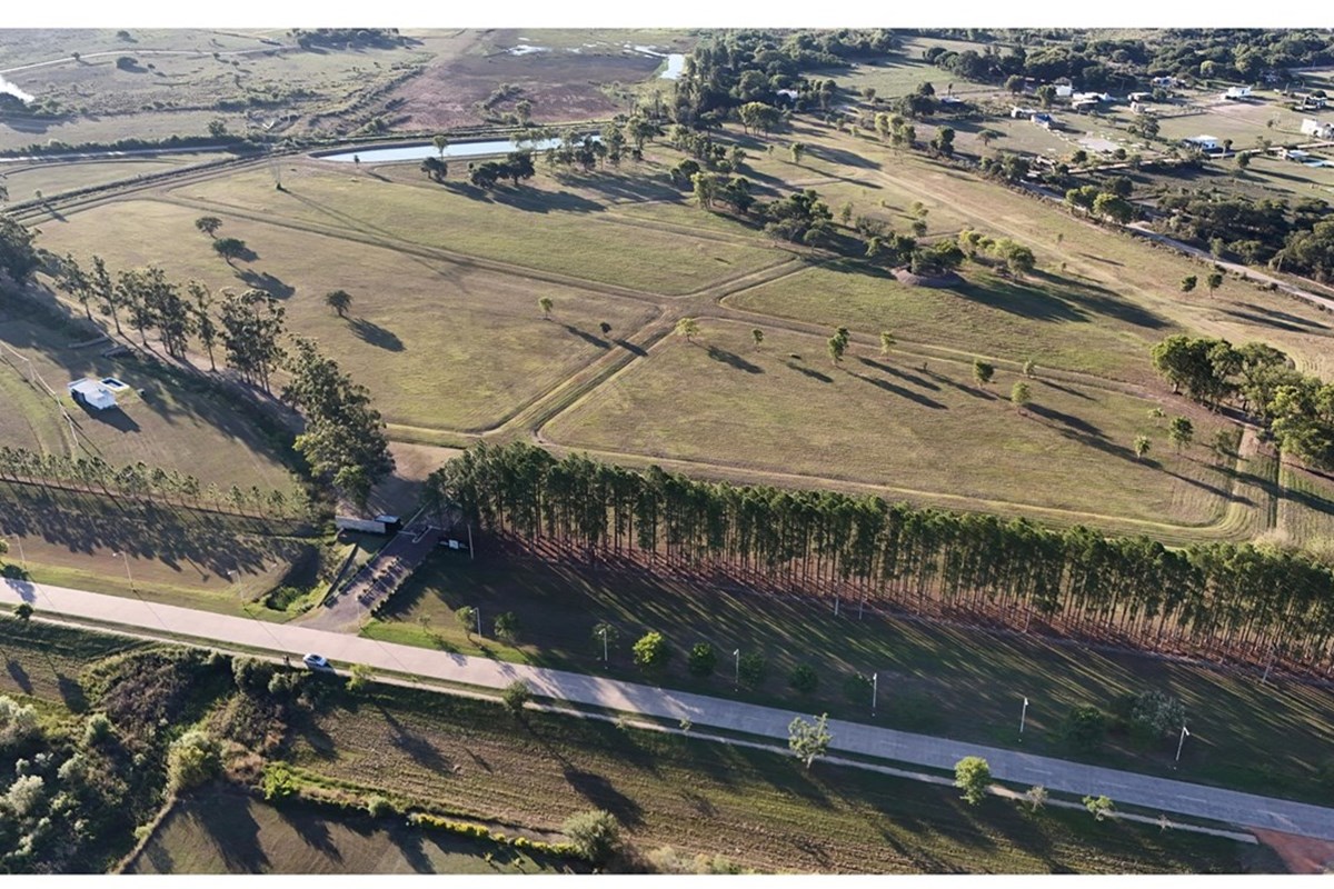 Venta de 5 lotes en Los Pinos, Colonia Benítez