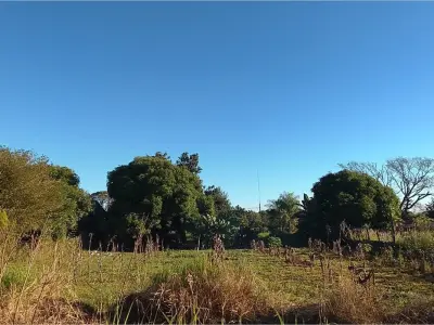 2 terrenos juntos en Bo. Chaipe 3