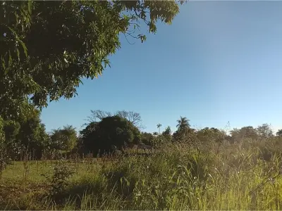 2 terrenos juntos en Bo. Chaipe 4