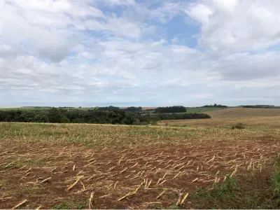 30 hectares à venda na Av. Paraguai-Japão, Pirapó 3