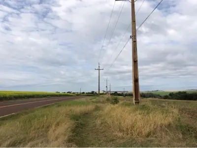 30 hectares à venda na Av. Paraguai-Japão, Pirapó 4