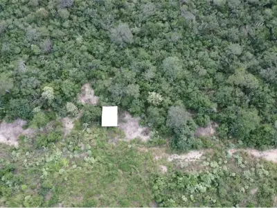 3.974 hectáreas de monte en venta en Alto Paraguay 3