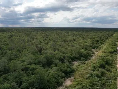 3.974 hectáreas de monte en venta en Alto Paraguay 4