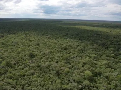 3.974 hectáreas de monte en venta en Alto Paraguay 5