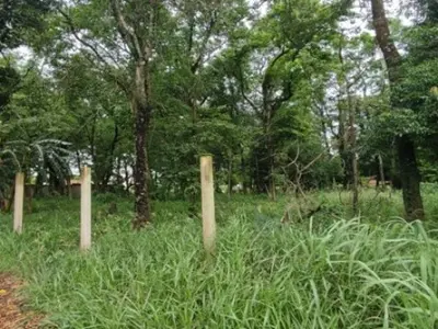 5 Terrenos Juntos em San Juan del Paraná, Itapúa 2