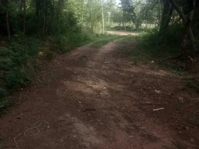 6 Lots for Sale in Loma Grande, Cordillera – 3,510 m² Total 3