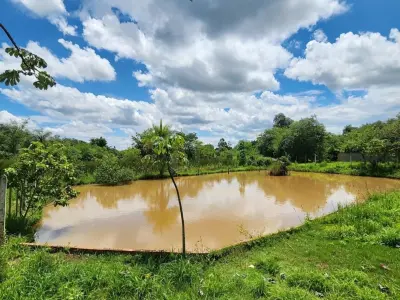 6 Lotes Juntos no Km 10 Acaray, Ciudad del Este 2