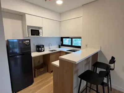Furnished 2-Bedroom Apartment for Rent in Recoleta 2