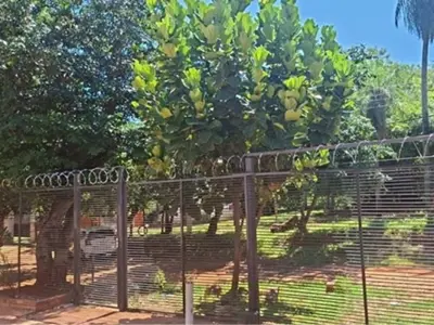 Casa de 3 dormitórios para alugar em Luque, região do Palacio de Justicia 3