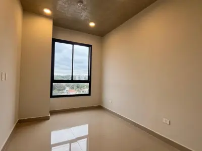 Apartamento de 1 quarto no bairro Campo Grande, Luque 2