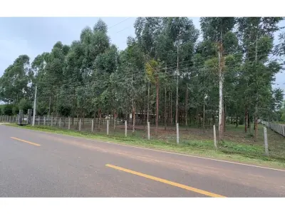 Caballeriza en venta en Primero de Marzo, Cordillera 3