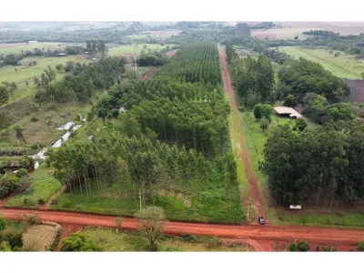 Campo agrícola de 8 hectares à venda em Hernandarias 3