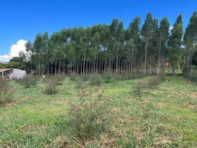 Campo agrícola de 8 hectares à venda em Hernandarias 4
