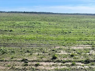 Fazenda agrícola à venda em San Pedro del Paraná 3