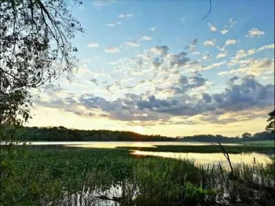 Campo de 10 hectáreas en venta en Hernandarias, Alto Paraná 2