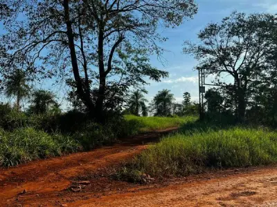 Campo de 10 hectáreas en venta en Hernandarias, Alto Paraná 3