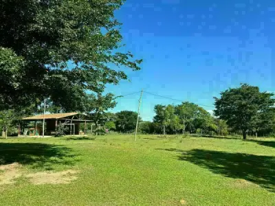 Campo de 12 hectáreas en venta en Juan León Mallorquín 3