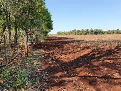 Fazenda de 161 hectares à venda em Edelira, Itapúa 3