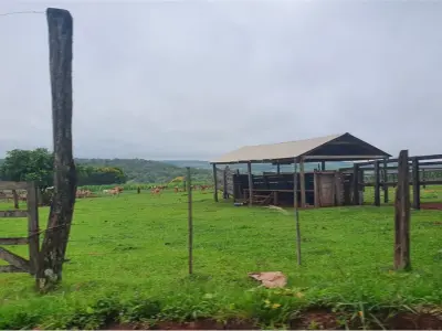Fazenda de 161 hectares à venda em Edelira, Itapúa 4