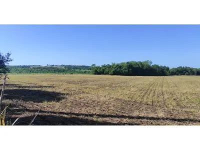 Campo de 17,8 hectáreas en venta en Capitán Miranda 3