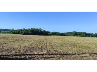 Campo de 17,8 hectáreas en venta en Capitán Miranda 4